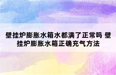 壁挂炉膨胀水箱水都满了正常吗 壁挂炉膨胀水箱正确充气方法